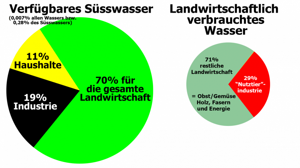 6.) Wasserverbrauch | Vegans for Future